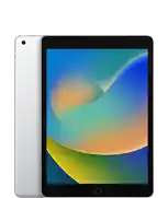 iPad (9.&nbsp;Generation)