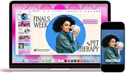 MacBook Neo, Farbe Rosa, neben einem iPhone, das MacBook Neo Display zeigt eine Präsentation mit dem Titel „Finals Week Pet Therapy“ mit dem Foto einer Person, die ein Kaninchen hält, das iPhone Display zeigt das gleiche Foto, das in einen Sticker für die Präsentation verwandelt wurde