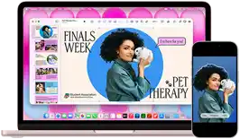 MacBook Neo, Farbe Rosa, neben einem iPhone, das MacBook Neo Display zeigt eine Präsentation mit dem Titel „Finals Week Pet Therapy“ mit dem Foto einer Person, die ein Kaninchen hält, das iPhone Display zeigt das gleiche Foto, das in einen Sticker für die Präsentation verwandelt wurde
